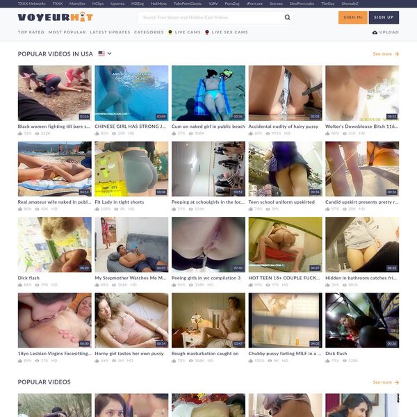 Voyeurhit